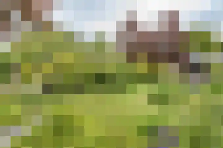 Oxhoofdpad 17 Broek op Langedijk thumbnail 21