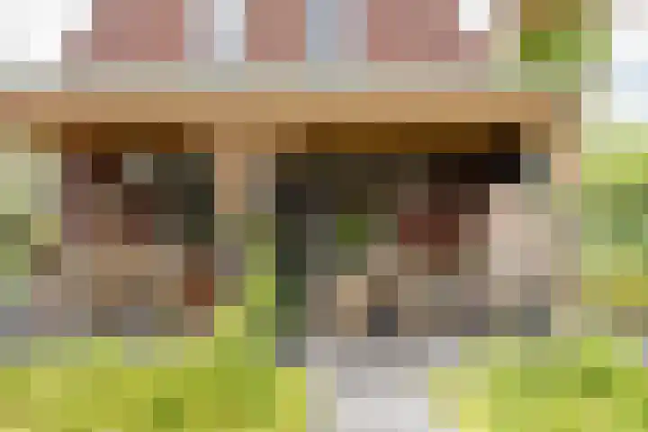 Oxhoofdpad 17 Broek op Langedijk thumbnail 22