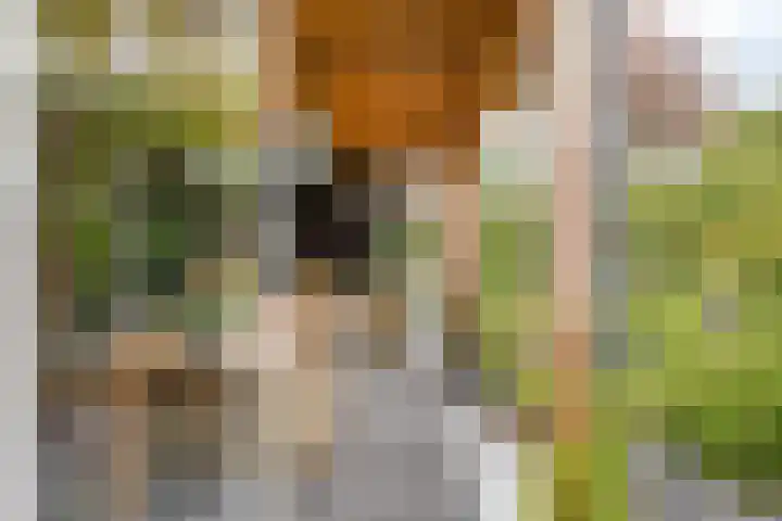 Oxhoofdpad 17 Broek op Langedijk thumbnail 23