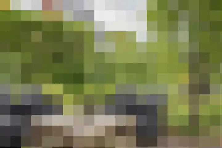 Oxhoofdpad 17 Broek op Langedijk thumbnail 24