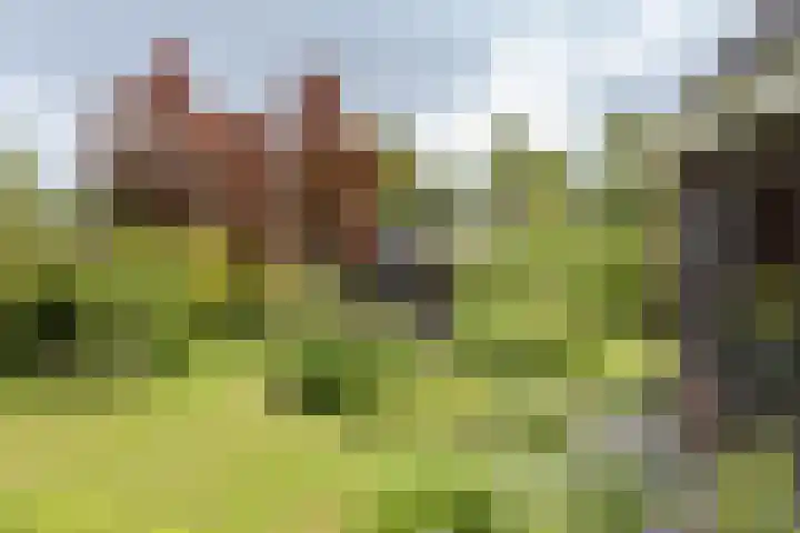 Oxhoofdpad 17 Broek op Langedijk thumbnail 26