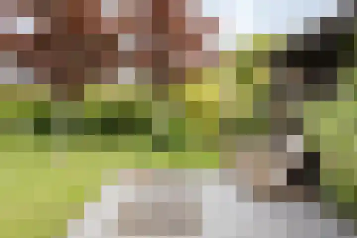 Oxhoofdpad 17 Broek op Langedijk thumbnail 27