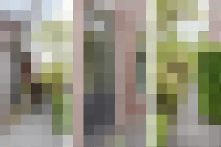 Oxhoofdpad 17 Broek op Langedijk thumbnail 29