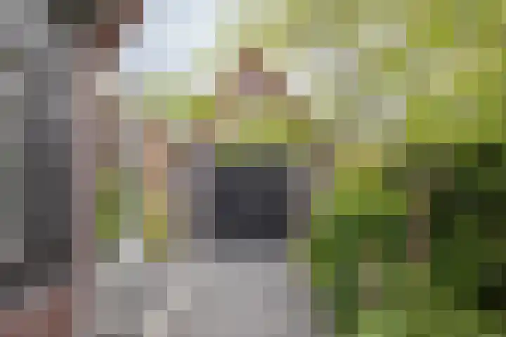 Oxhoofdpad 17 Broek op Langedijk thumbnail 30