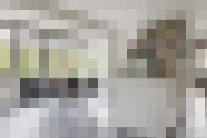 Oxhoofdpad 17 Broek op Langedijk thumbnail 4