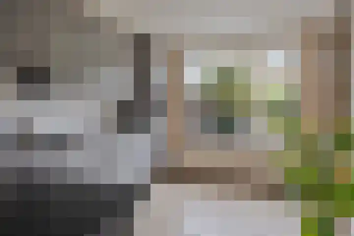 Oxrooi 10 Helmond thumbnail 16