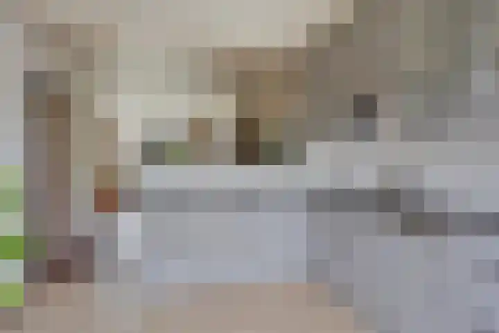 Oxrooi 10 Helmond thumbnail 17
