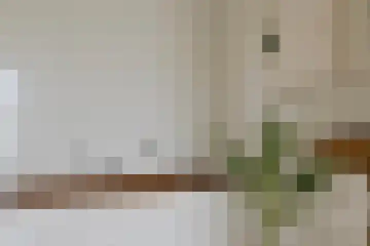 Oxrooi 10 Helmond thumbnail 23