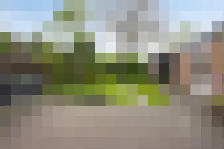Oxrooi 10 Helmond thumbnail 36