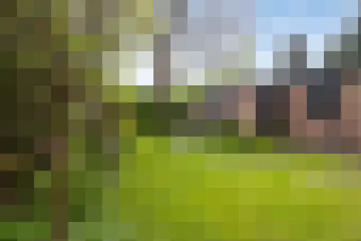 Oxrooi 10 Helmond thumbnail 37