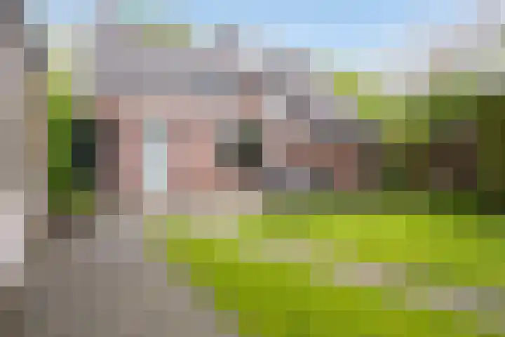 Oxrooi 10 Helmond thumbnail 39