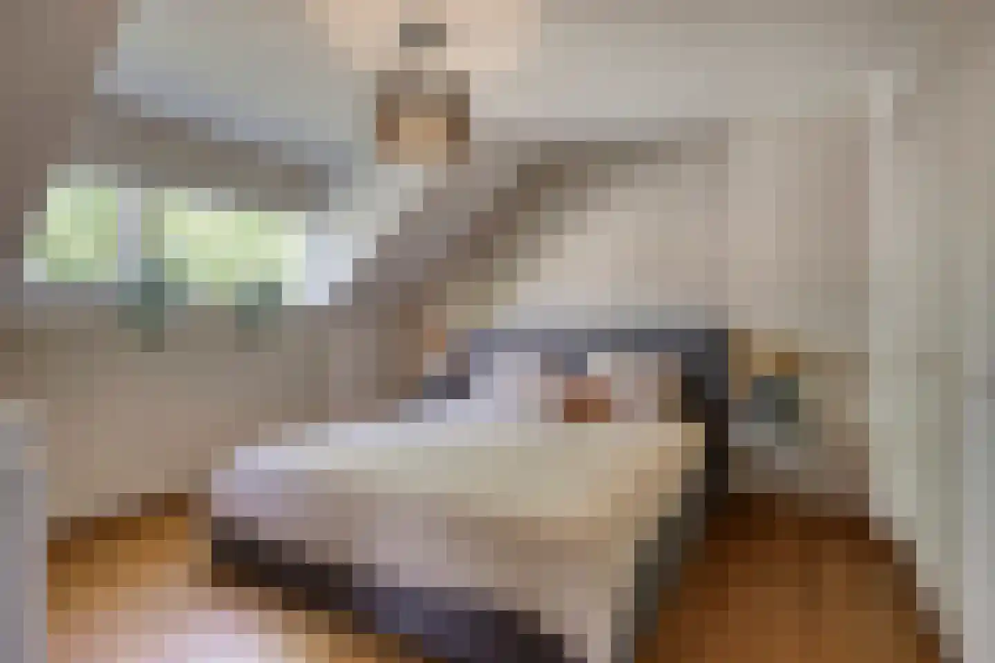 Oxrooi 10 Helmond thumbnail 4