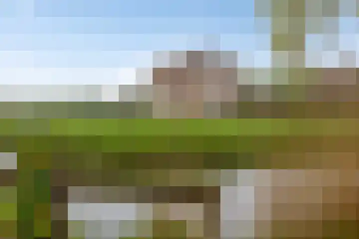 Oxrooi 10 Helmond thumbnail 43