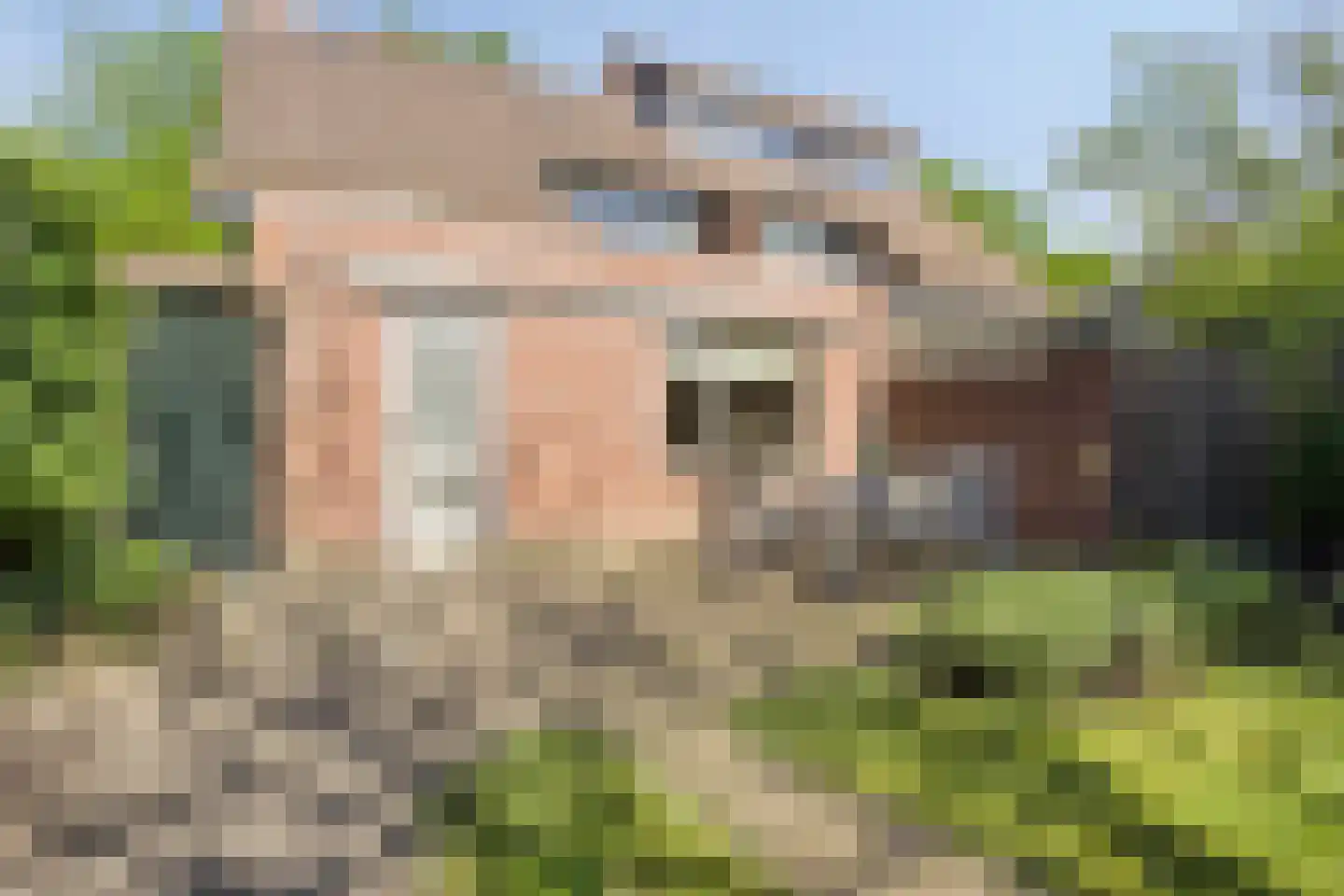 Oxrooi 10 Helmond thumbnail 59
