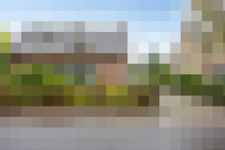 Oxrooi 10 Helmond thumbnail 6