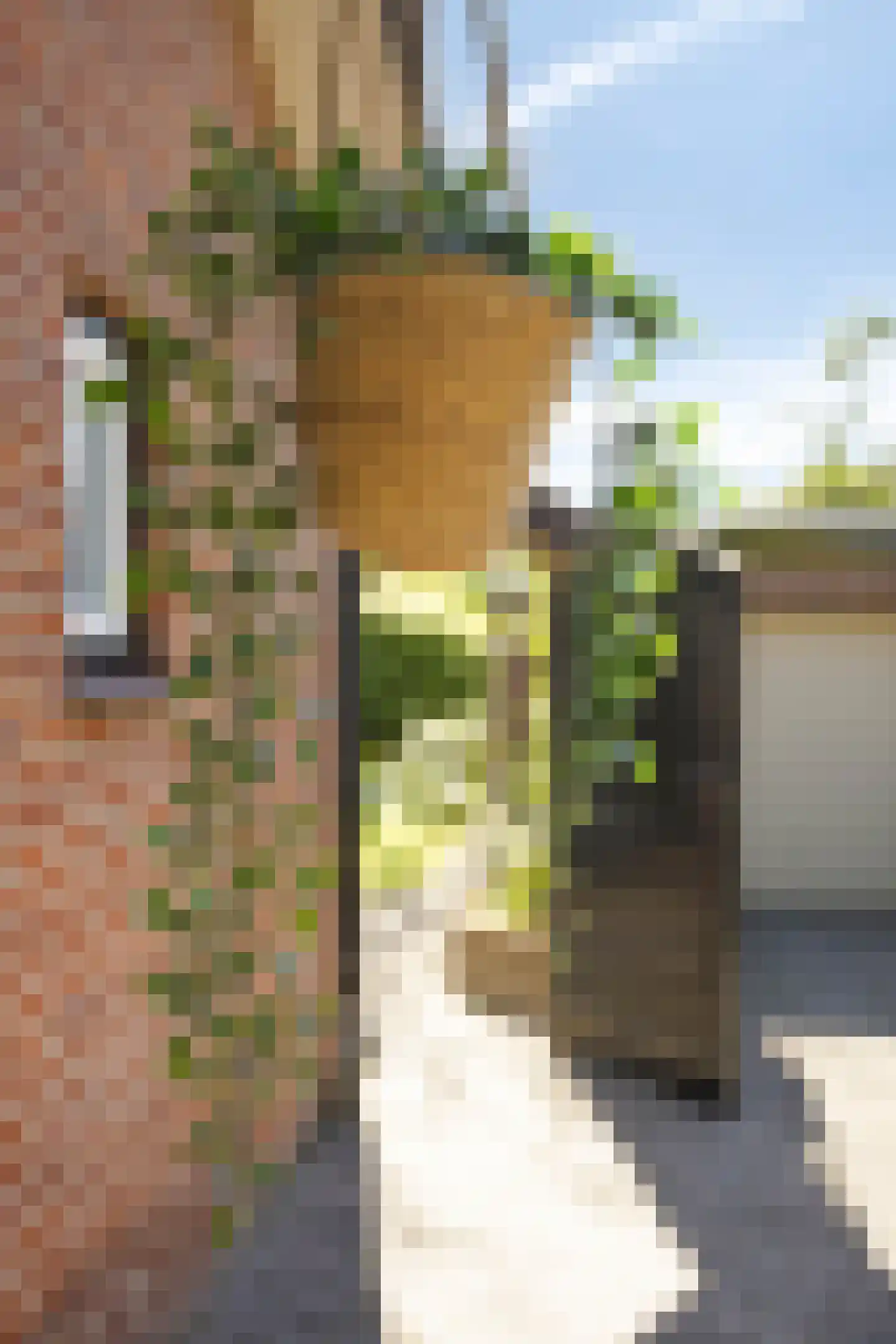 Oxrooi 10 Helmond thumbnail 60