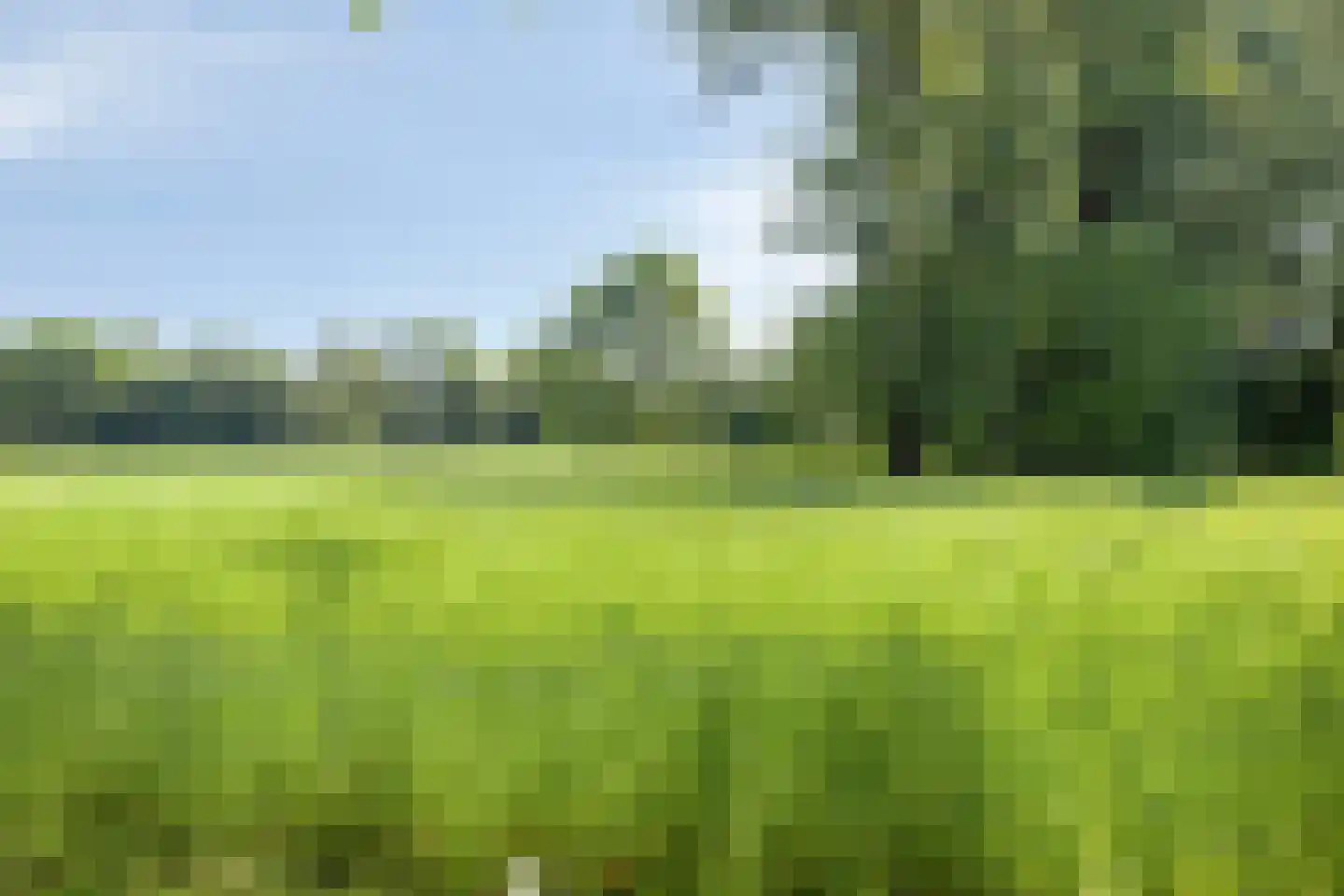 Oxrooi 10 Helmond thumbnail 64