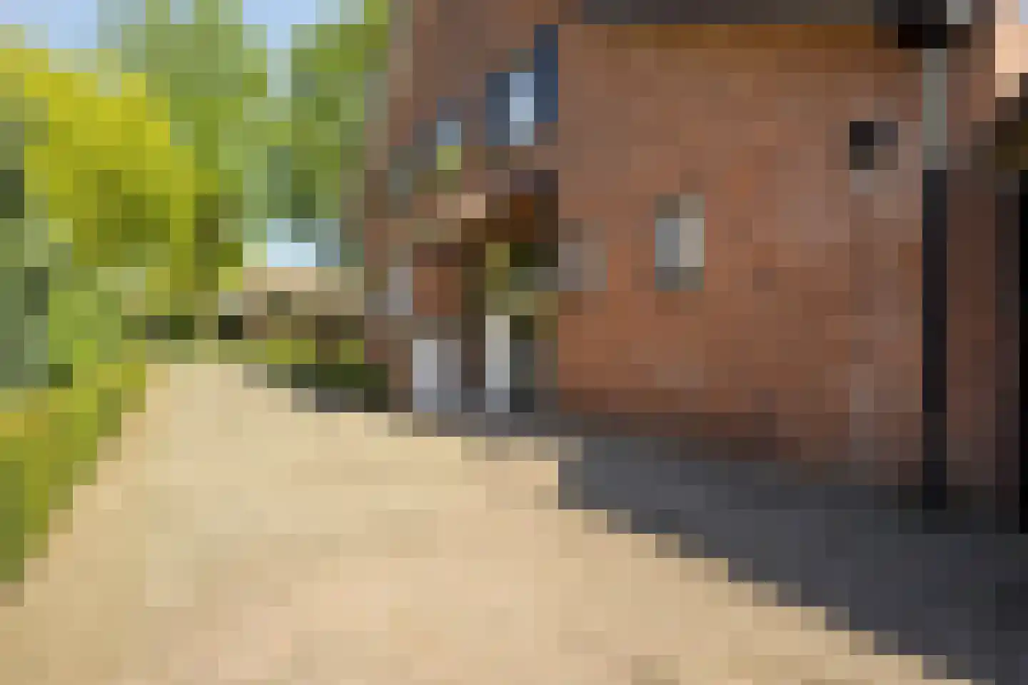 Oxrooi 10 Helmond thumbnail 8