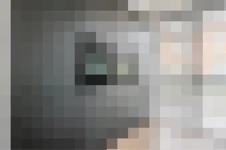 Oyevaerswey 27 Rijswijk thumbnail 15