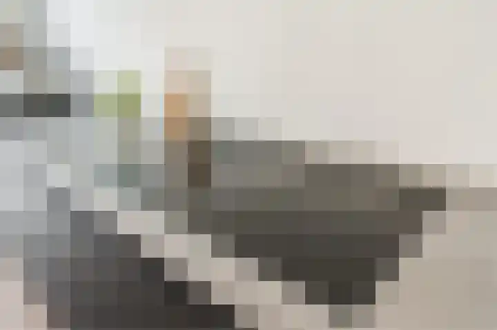 Oyevaerswey 27 Rijswijk thumbnail 18