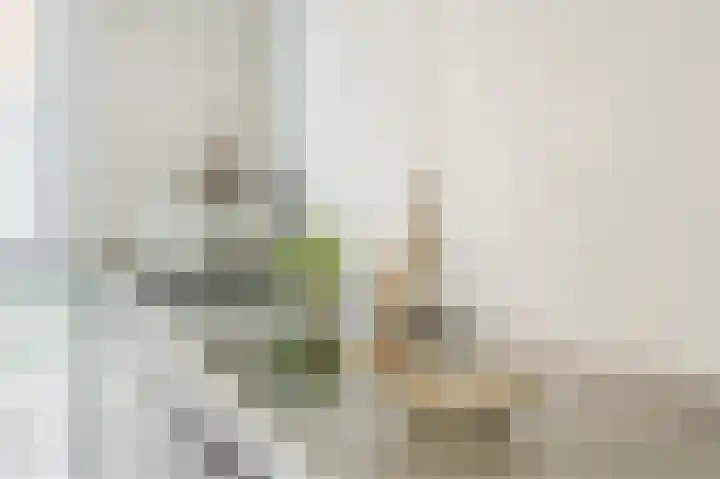 Oyevaerswey 27 Rijswijk thumbnail 19