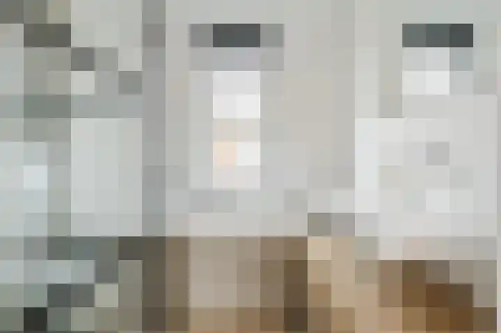 Oyevaerswey 27 Rijswijk thumbnail 32