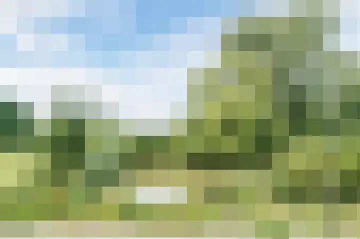 Oyevaerswey 27 Rijswijk thumbnail 58
