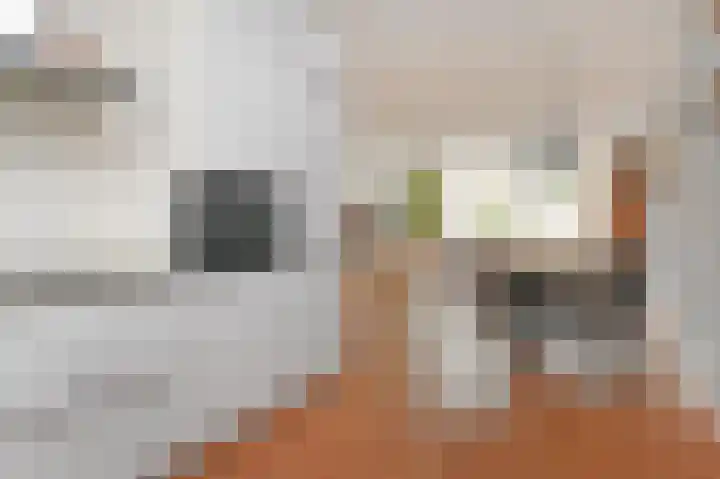 Oyevaerswey 9 Rijswijk thumbnail 23