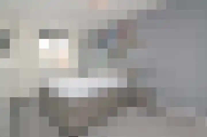 Oyevaerswey 9 Rijswijk thumbnail 24