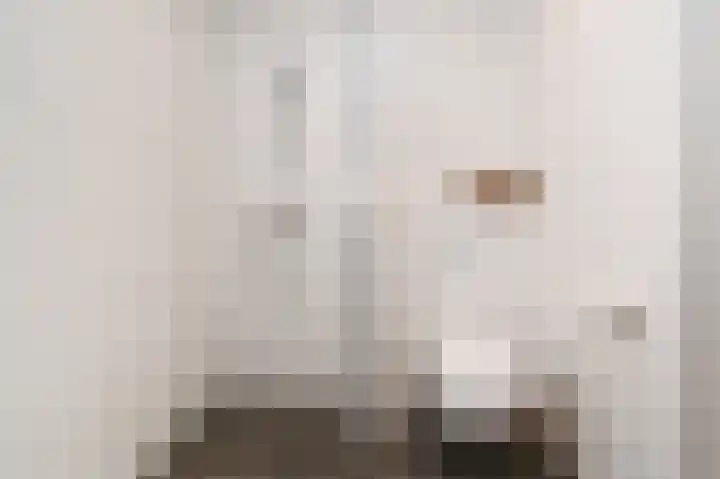 Oyevaerswey 9 Rijswijk thumbnail 28