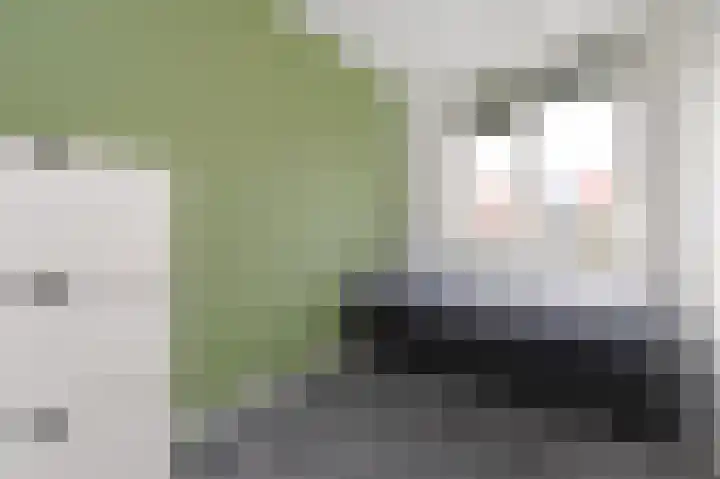 Oyevaerswey 9 Rijswijk thumbnail 31
