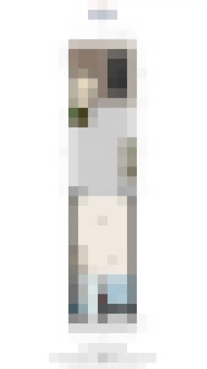 Oyevaerswey 9 Rijswijk thumbnail 47