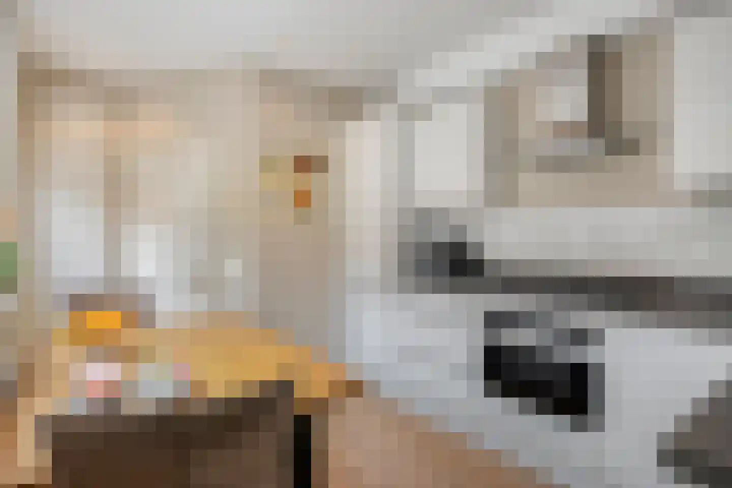 Ozingastraat 52 Pernis Rotterdam thumbnail 13