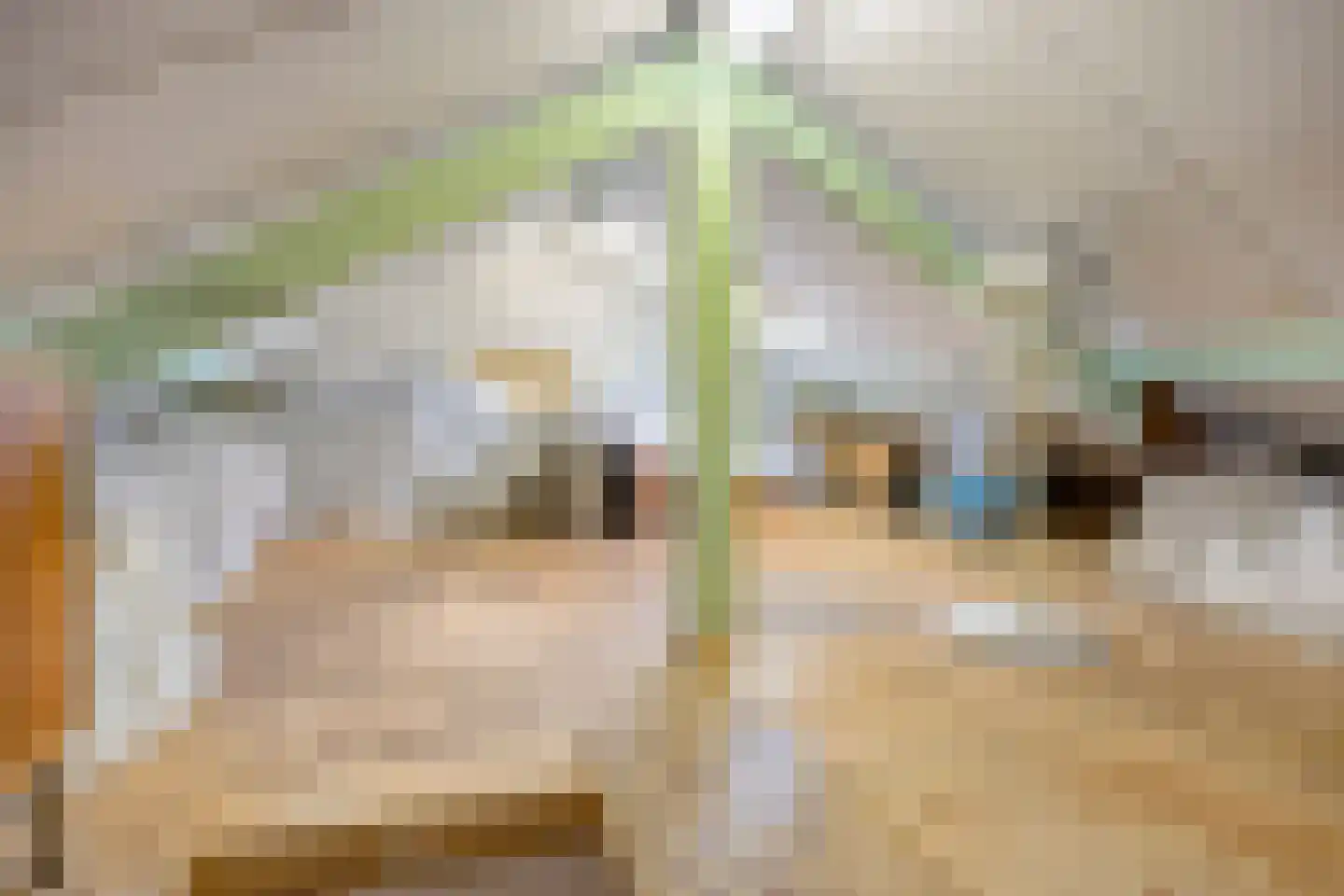 Ozingastraat 52 Pernis Rotterdam thumbnail 25