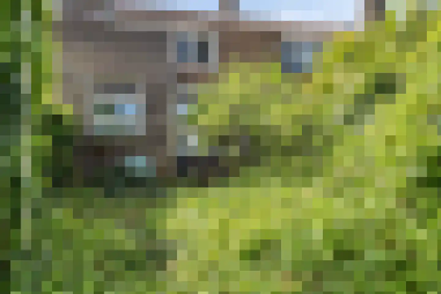 Ozingastraat 61 Pernis Rotterdam thumbnail 26