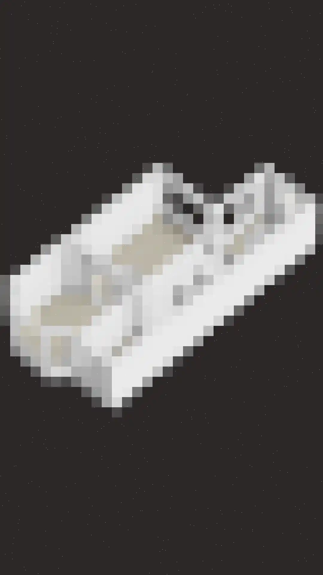 Ozingastraat 61 Pernis Rotterdam thumbnail 36