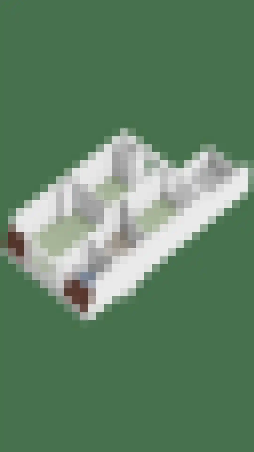 Ozingastraat 61 Pernis Rotterdam thumbnail 38