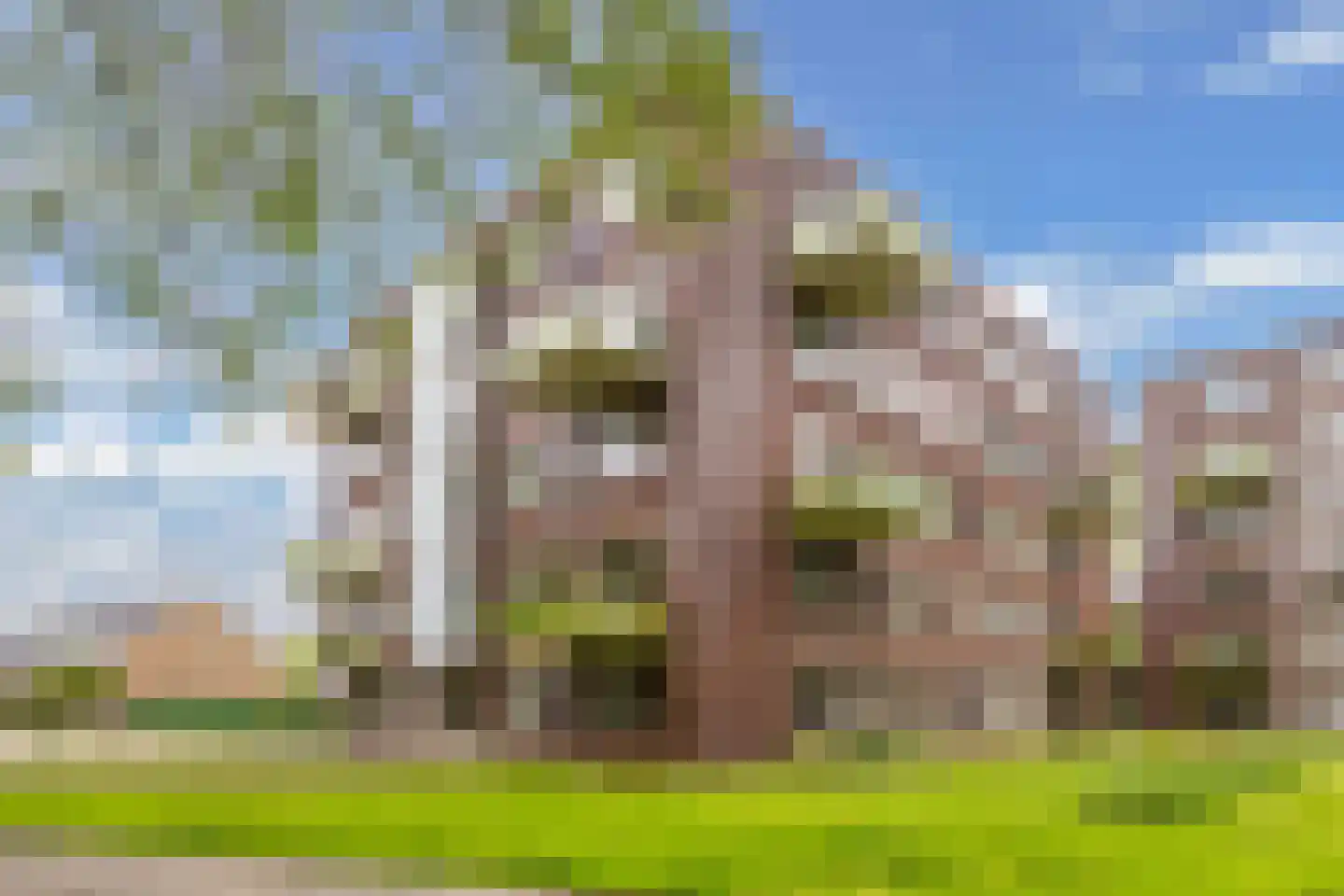 P.A. Bruinsmastraat 32 F Bolsward thumbnail 47