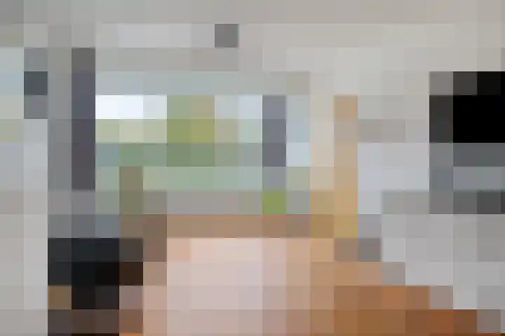 P.A. de Genestetlaan 18 Vlissingen thumbnail 10