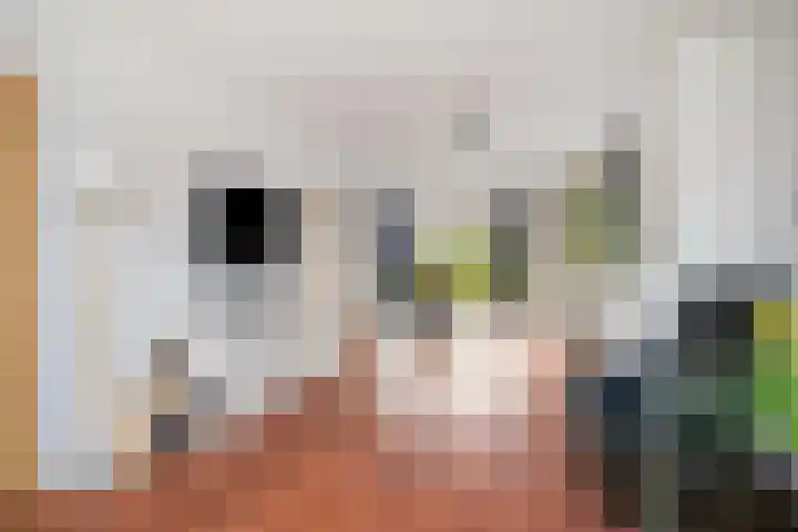 P.A. de Genestetlaan 18 Vlissingen thumbnail 11