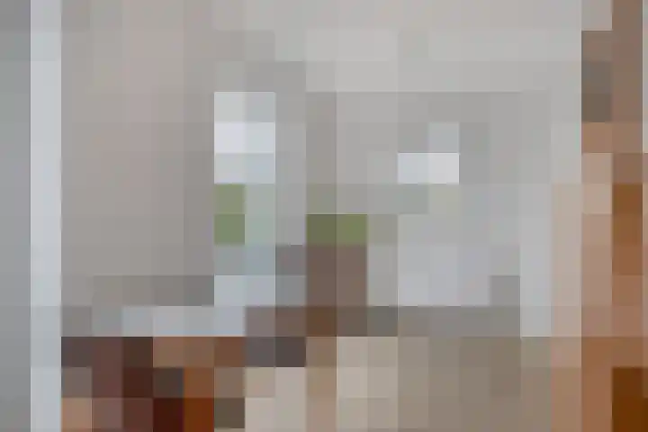 P.A. de Genestetlaan 18 Vlissingen thumbnail 35