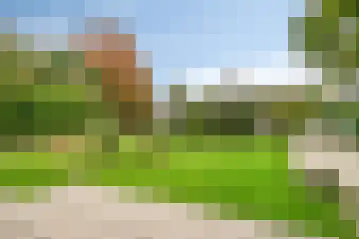 P.A. de Genestetlaan 18 Vlissingen thumbnail 40