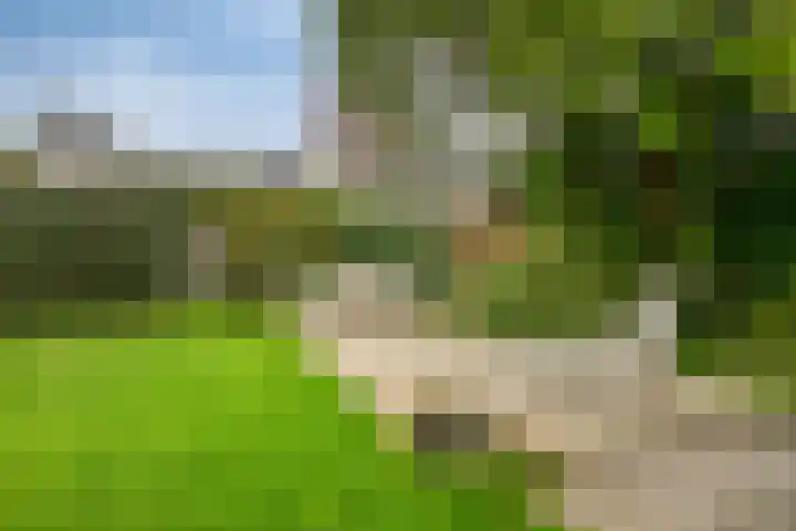 P.A. de Genestetlaan 18 Vlissingen thumbnail 43