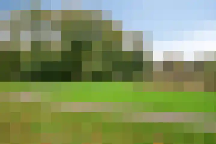 P.A. de Genestetlaan 18 Vlissingen thumbnail 53