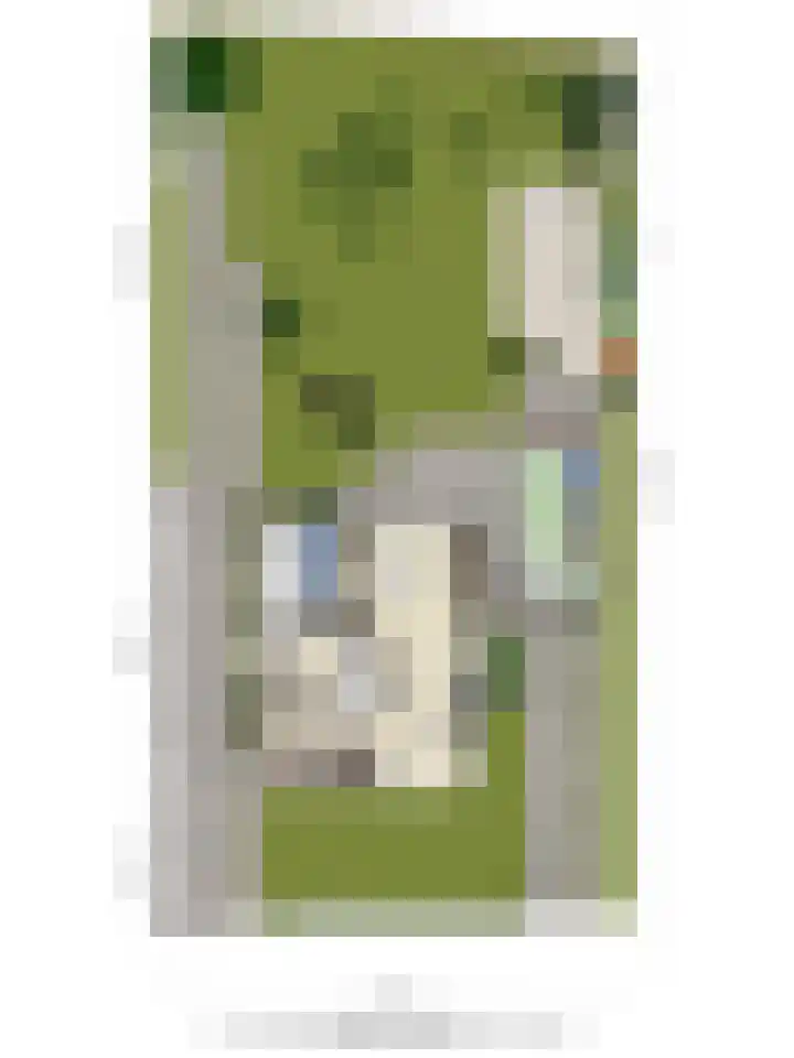 P.A. de Genestetlaan 18 Vlissingen thumbnail 55