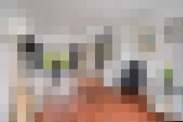 P.A. de Genestetlaan 18 Vlissingen thumbnail 9