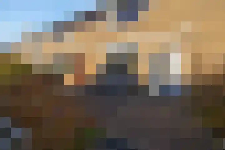P A de Genestetlaan 31 Hellevoetsluis thumbnail 10