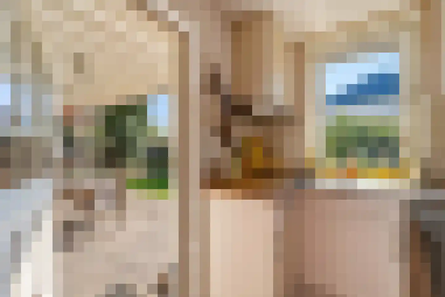 P.A. de Genestetlaan 4 Vlissingen thumbnail 12