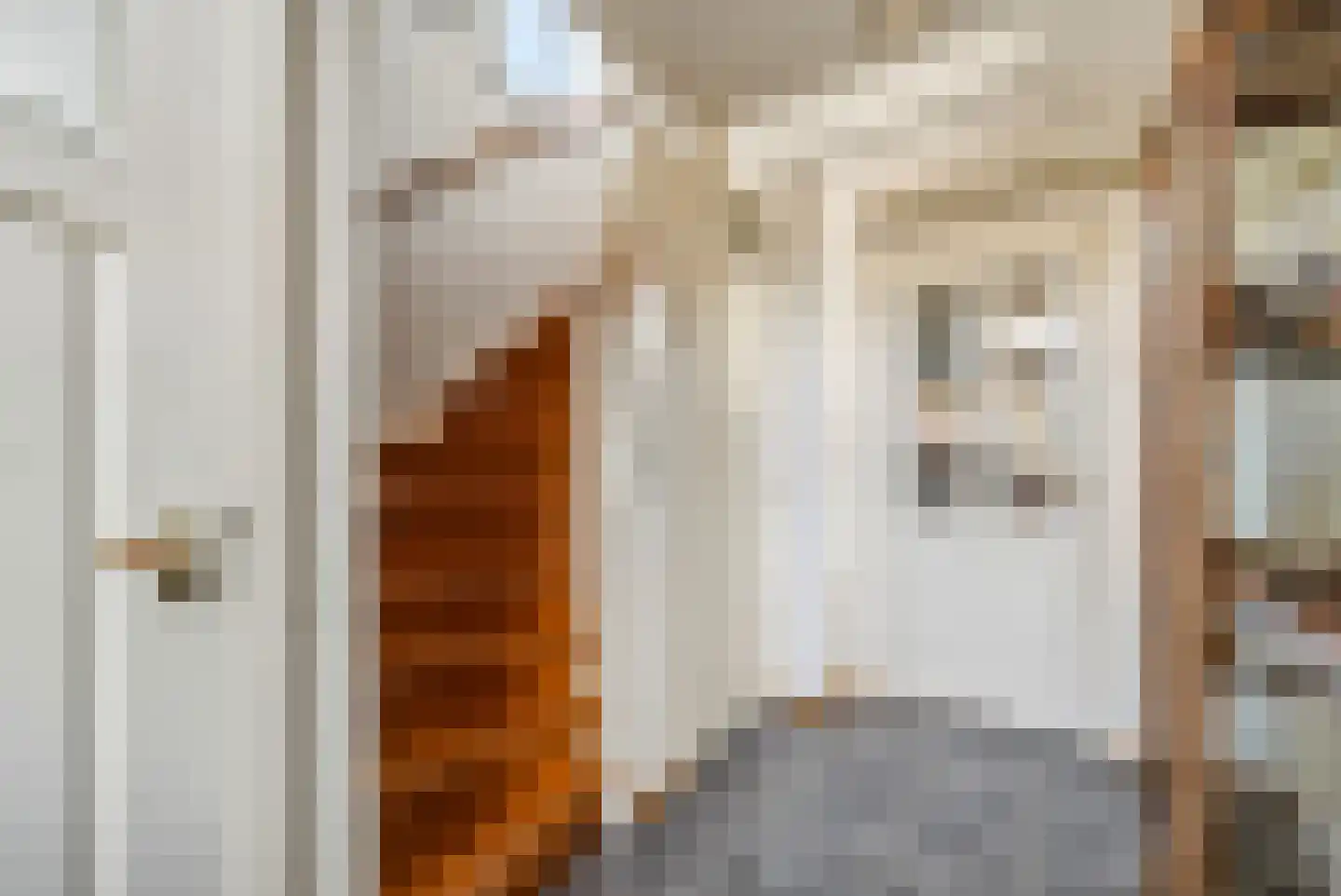 P.A. de Genestetlaan 4 Vlissingen thumbnail 15
