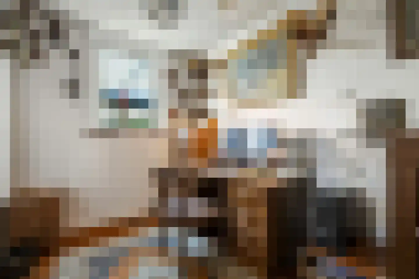 P.A. de Genestetlaan 4 Vlissingen thumbnail 16
